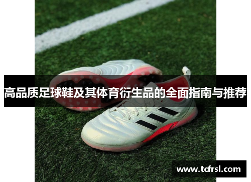 高品质足球鞋及其体育衍生品的全面指南与推荐