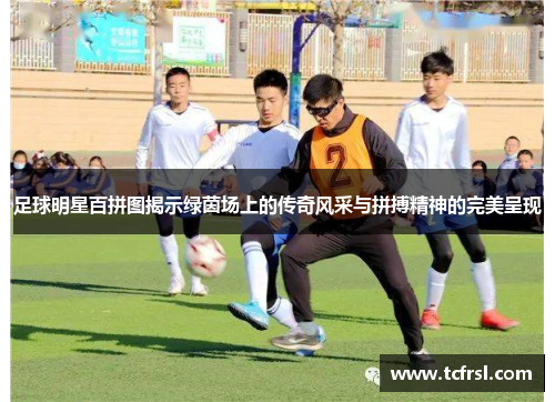 足球明星百拼图揭示绿茵场上的传奇风采与拼搏精神的完美呈现