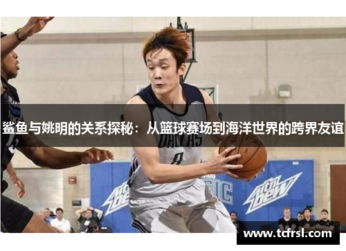 鲨鱼与姚明的关系探秘：从篮球赛场到海洋世界的跨界友谊