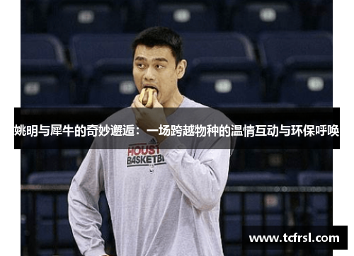 姚明与犀牛的奇妙邂逅：一场跨越物种的温情互动与环保呼唤