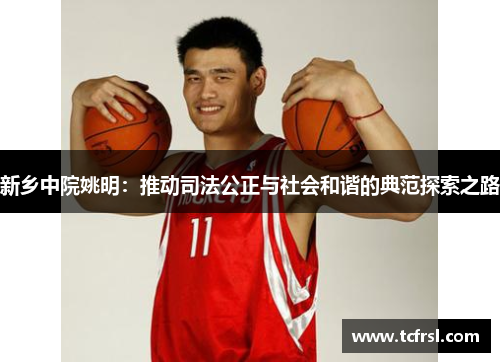 新乡中院姚明：推动司法公正与社会和谐的典范探索之路
