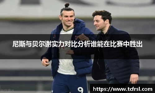 尼斯与贝尔谢实力对比分析谁能在比赛中胜出